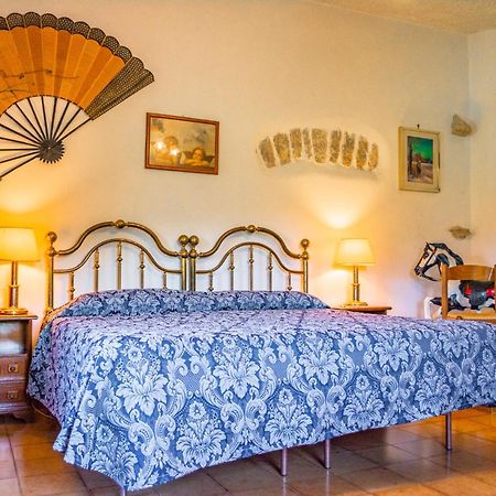 Villa La Voce Del Vento Pastena  Dış mekan fotoğraf