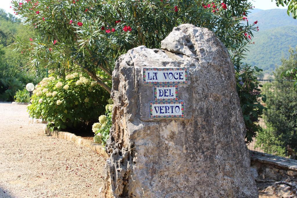 Villa La Voce Del Vento Pastena  Dış mekan fotoğraf